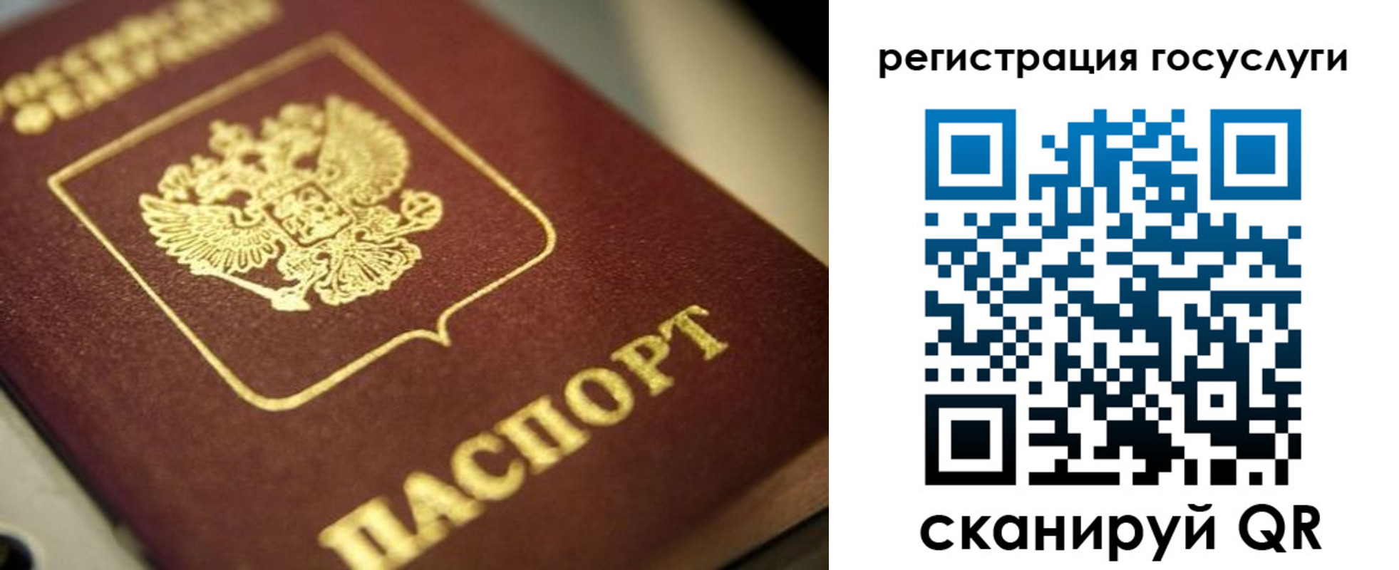 временная регистрация поиск в Тихорецке
